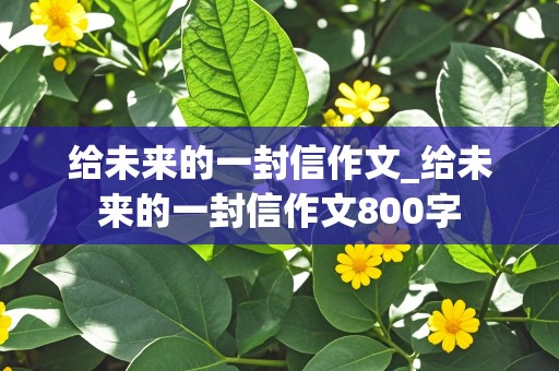 给未来的一封信作文_给未来的一封信作文800字