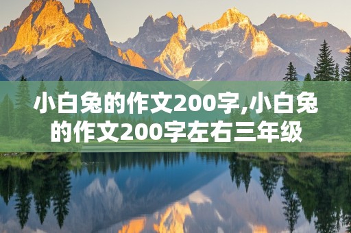 小白兔的作文200字,小白兔的作文200字左右三年级