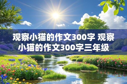 观察小猫的作文300字 观察小猫的作文300字三年级