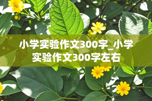 小学实验作文300字_小学实验作文300字左右