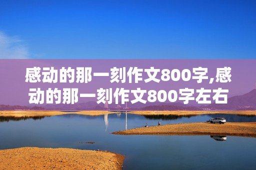 感动的那一刻作文800字,感动的那一刻作文800字左右