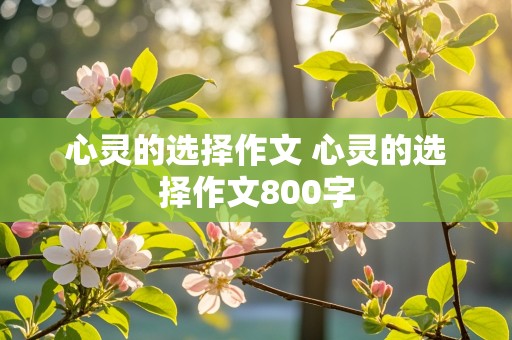 心灵的选择作文 心灵的选择作文800字