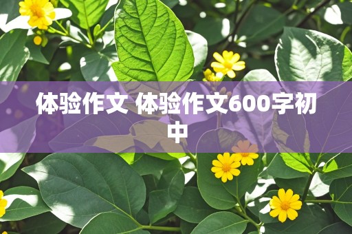 体验作文 体验作文600字初中