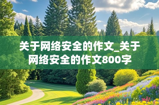 关于网络安全的作文_关于网络安全的作文800字