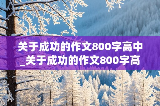 关于成功的作文800字高中_关于成功的作文800字高中议论文