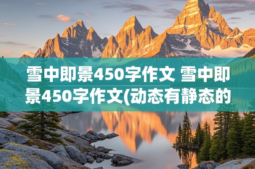 雪中即景450字作文 雪中即景450字作文(动态有静态的)