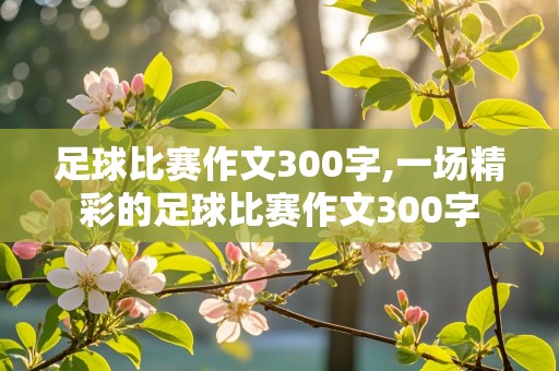 足球比赛作文300字,一场精彩的足球比赛作文300字