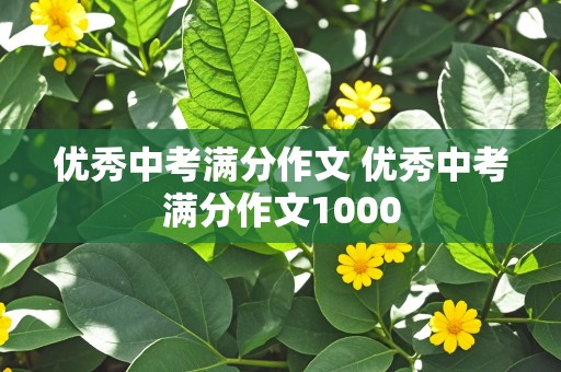 优秀中考满分作文 优秀中考满分作文1000