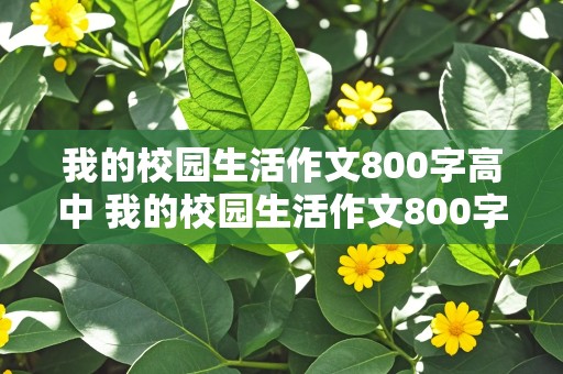 我的校园生活作文800字高中 我的校园生活作文800字高中记叙