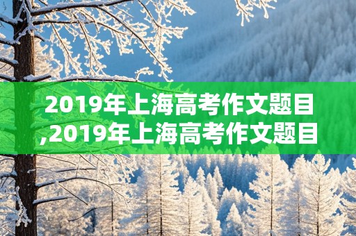 2019年上海高考作文题目,2019年上海高考作文题目审题