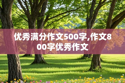 优秀满分作文500字,作文800字优秀作文