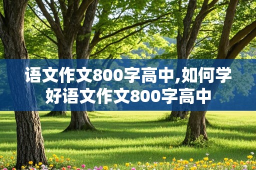 语文作文800字高中,如何学好语文作文800字高中