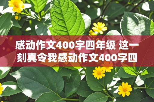 感动作文400字四年级 这一刻真令我感动作文400字四年级