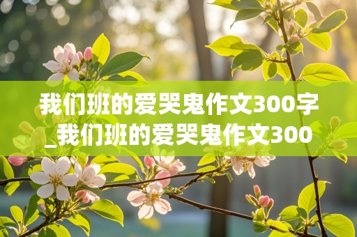 我们班的爱哭鬼作文300字_我们班的爱哭鬼作文300字怎么写