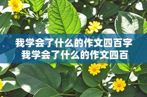 我学会了什么的作文四百字 我学会了什么的作文四百字左右