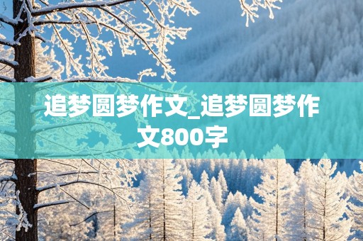 追梦圆梦作文_追梦圆梦作文800字