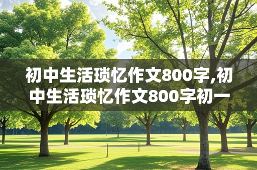 初中生活琐忆作文800字,初中生活琐忆作文800字初一