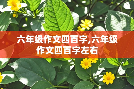 六年级作文四百字,六年级作文四百字左右