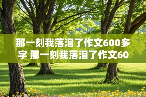 那一刻我落泪了作文600多字 那一刻我落泪了作文600多字毕业