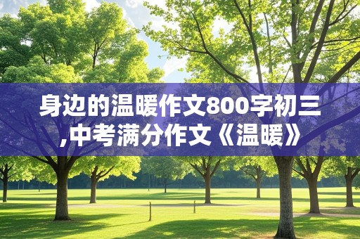 身边的温暖作文800字初三,中考满分作文《温暖》