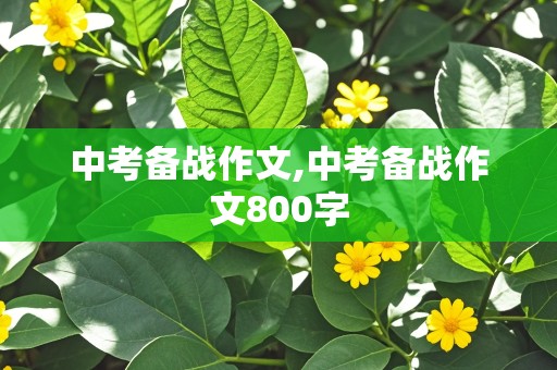 中考备战作文,中考备战作文800字