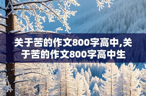 关于苦的作文800字高中,关于苦的作文800字高中生