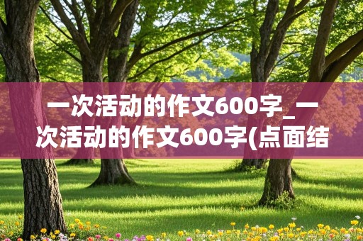 一次活动的作文600字_一次活动的作文600字(点面结合)