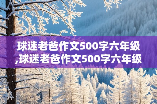 球迷老爸作文500字六年级,球迷老爸作文500字六年级上册