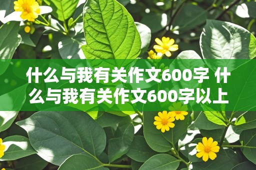 什么与我有关作文600字 什么与我有关作文600字以上初三