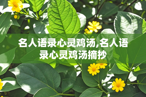 名人语录心灵鸡汤,名人语录心灵鸡汤摘抄