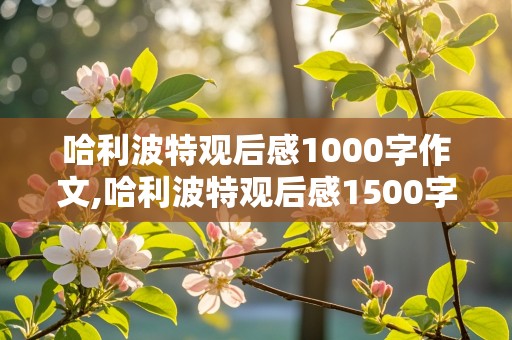 哈利波特观后感1000字作文,哈利波特观后感1500字