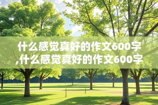 什么感觉真好的作文600字,什么感觉真好的作文600字 初二