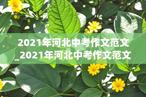 2021年河北中考作文范文_2021年河北中考作文范文10篇