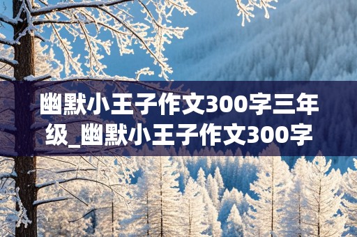 幽默小王子作文300字三年级_幽默小王子作文300字三年级下册