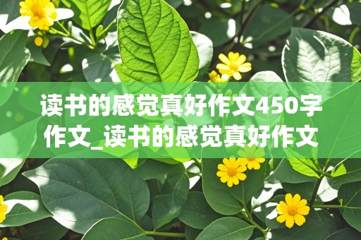 读书的感觉真好作文450字作文_读书的感觉真好作文300字作文