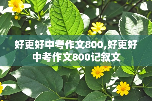 好更好中考作文800,好更好中考作文800记叙文