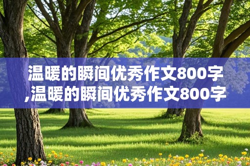 温暖的瞬间优秀作文800字,温暖的瞬间优秀作文800字结尾