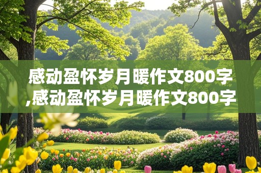 感动盈怀岁月暖作文800字,感动盈怀岁月暖作文800字关于母亲