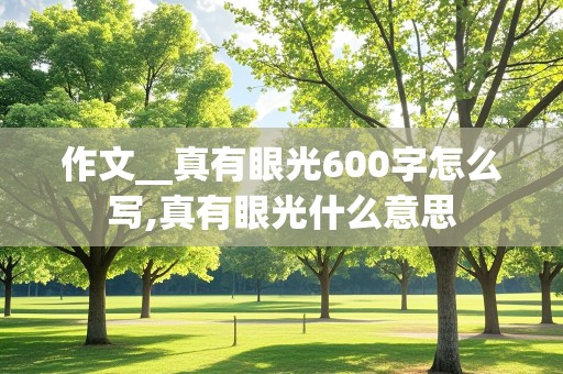 作文__真有眼光600字怎么写,真有眼光什么意思