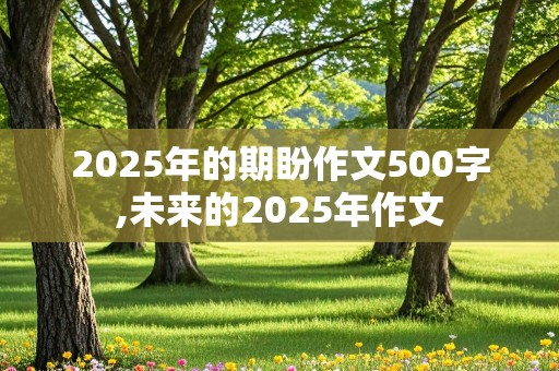 2025年的期盼作文500字,未来的2025年作文