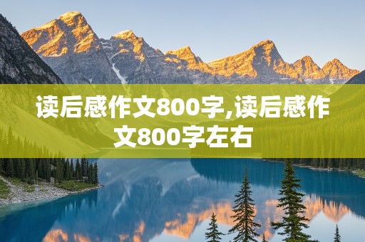 读后感作文800字,读后感作文800字左右