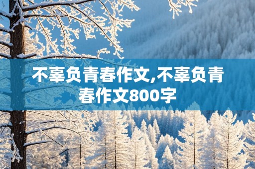 不辜负青春作文,不辜负青春作文800字