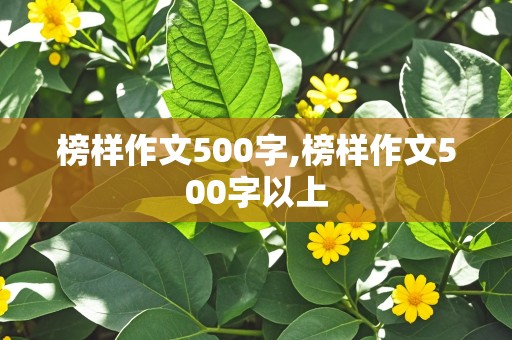 榜样作文500字,榜样作文500字以上