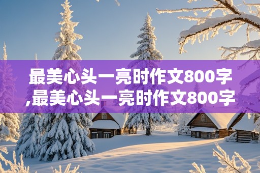 最美心头一亮时作文800字,最美心头一亮时作文800字记叙文