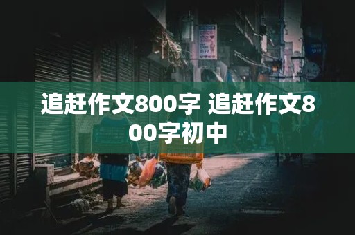 追赶作文800字 追赶作文800字初中