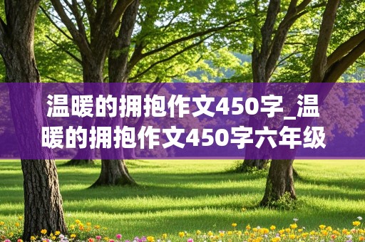 温暖的拥抱作文450字_温暖的拥抱作文450字六年级