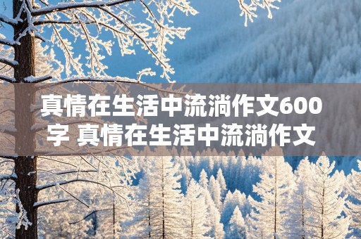 真情在生活中流淌作文600字 真情在生活中流淌作文600字初三