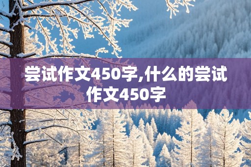 尝试作文450字,什么的尝试作文450字