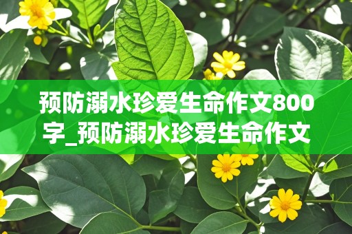 预防溺水珍爱生命作文800字_预防溺水珍爱生命作文800字作文