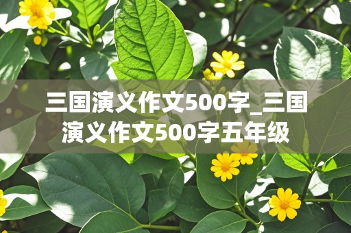 三国演义作文500字_三国演义作文500字五年级